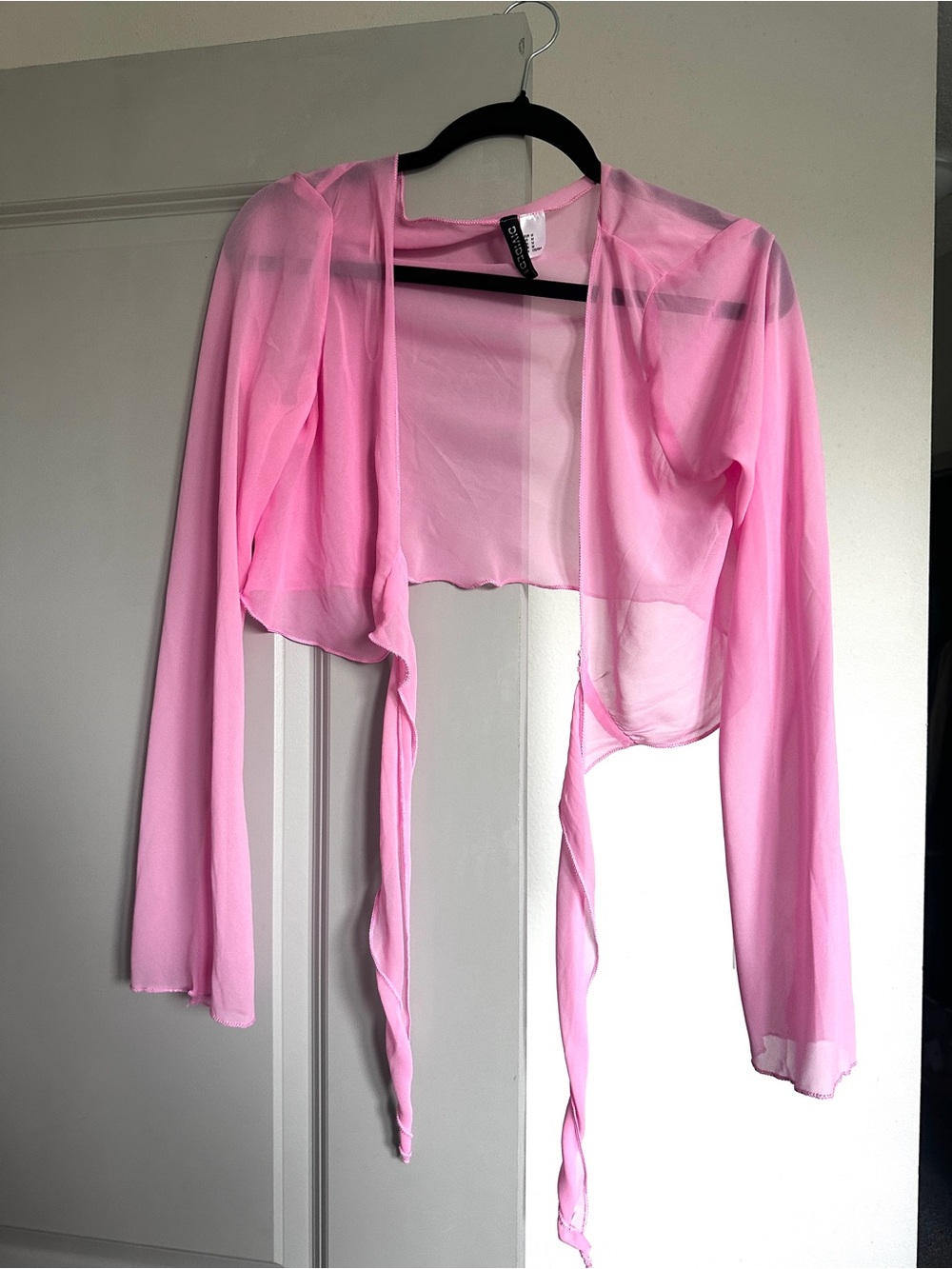H&M Pink Sheer Tie-Front Cropped Top